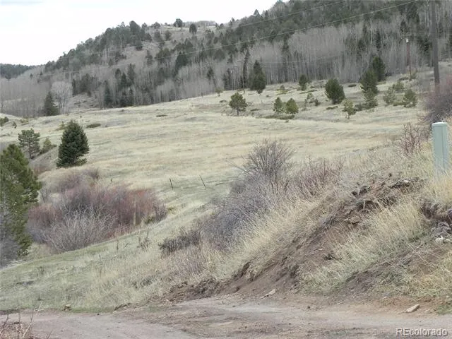 521 Monarch Drive Cripple Creek, CO 80813