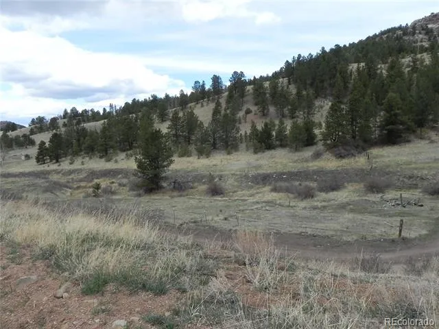 521 Monarch Drive Cripple Creek, CO 80813