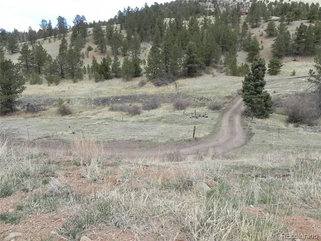 521 Monarch Drive Cripple Creek, CO 80813