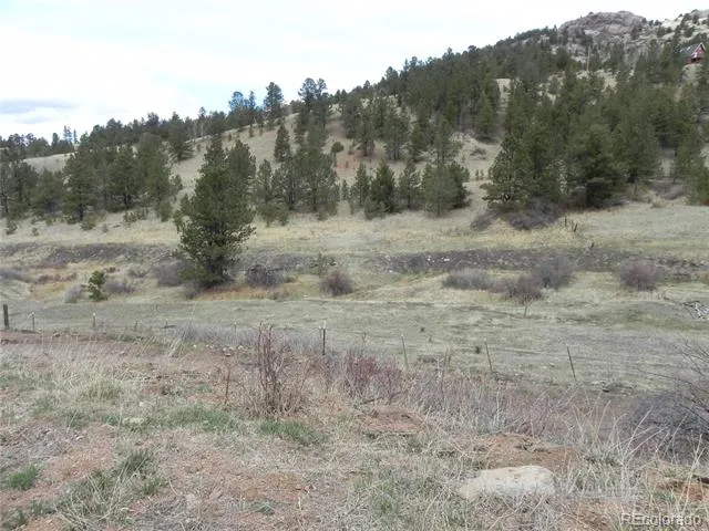 521 Monarch Drive Cripple Creek, CO 80813