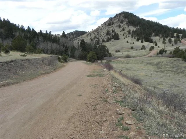 521 Monarch Drive Cripple Creek, CO 80813