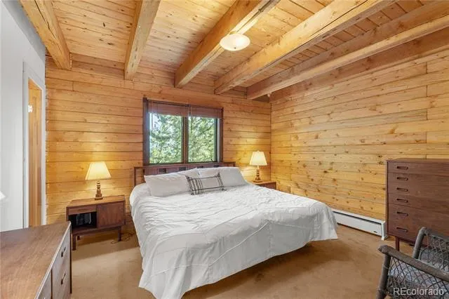 424 Dry Gulch Road Fairplay, CO 80440