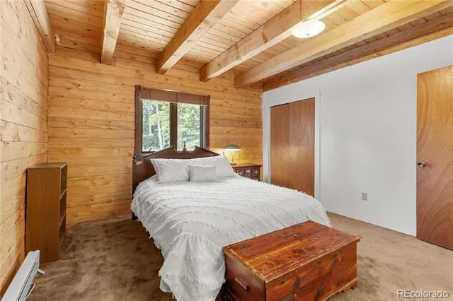 424 Dry Gulch Road Fairplay, CO 80440