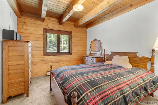 424 Dry Gulch Road Fairplay, CO 80440