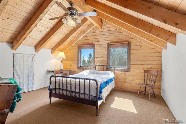 424 Dry Gulch Road Fairplay, CO 80440