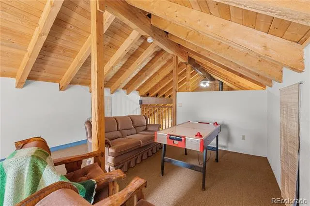 424 Dry Gulch Road Fairplay, CO 80440
