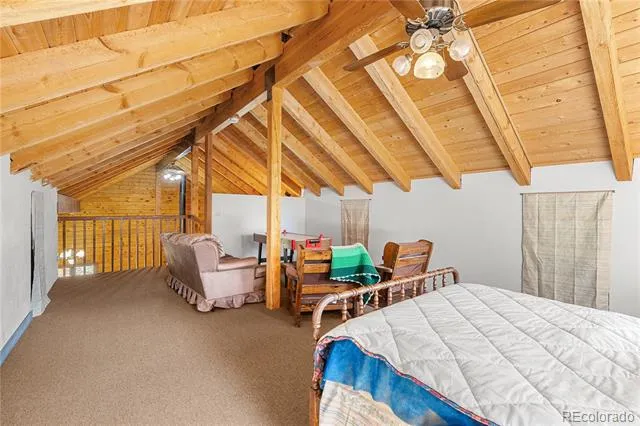 424 Dry Gulch Road Fairplay, CO 80440