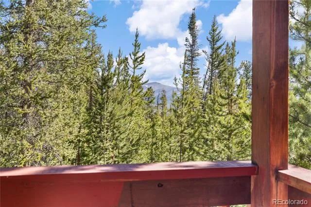 424 Dry Gulch Road Fairplay, CO 80440