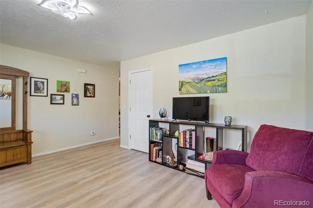 419 Aspen Street Cripple Creek, CO 80813