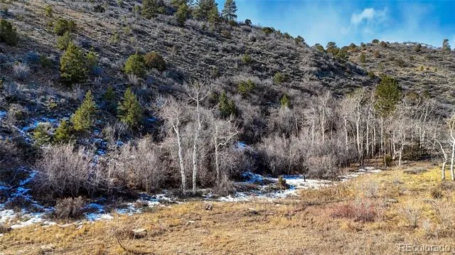16955 Little River Lane Salida, CO 81201