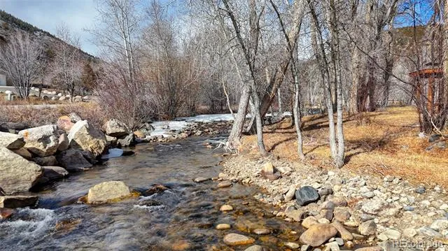 16955 Little River Lane Salida, CO 81201