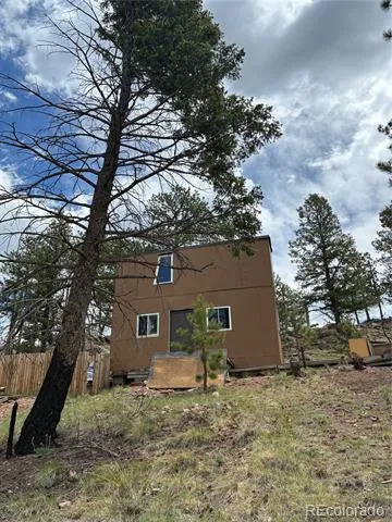 266 Chapparal Trail Florissant, CO 80816