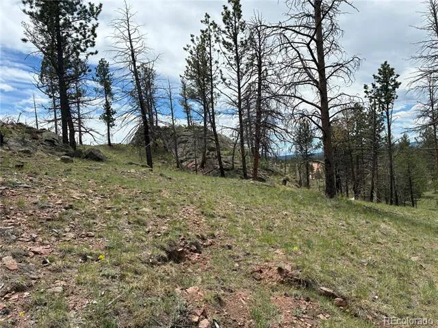 266 Chapparal Trail Florissant, CO 80816