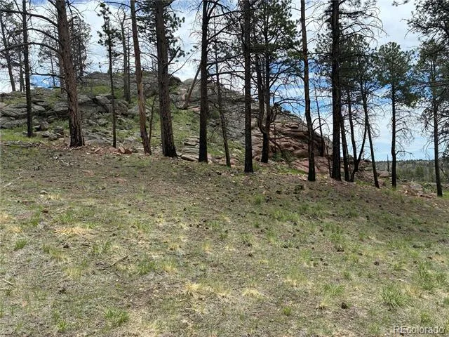 266 Chapparal Trail Florissant, CO 80816
