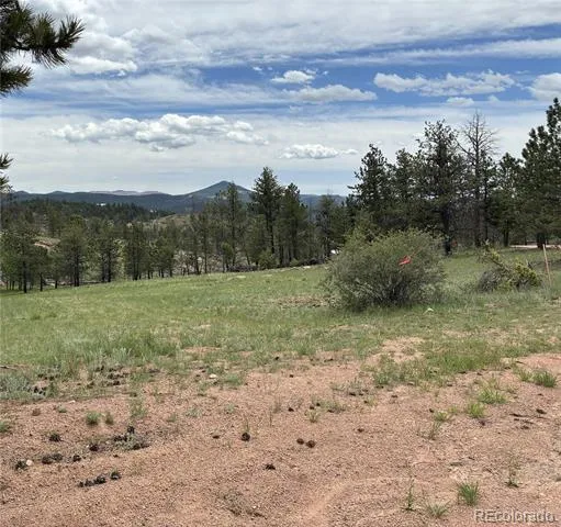266 Chapparal Trail Florissant, CO 80816