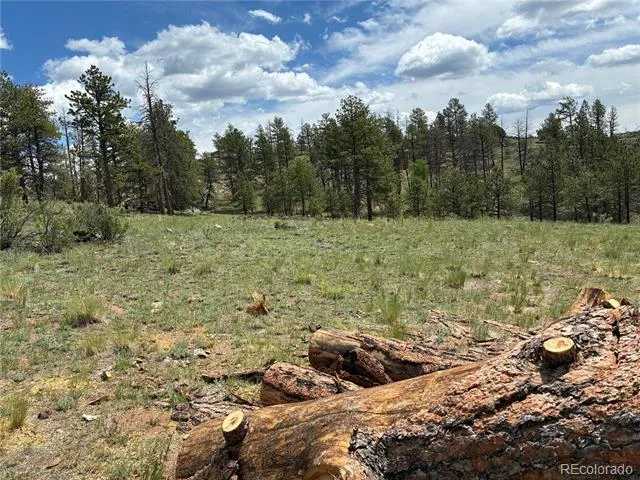 266 Chapparal Trail Florissant, CO 80816