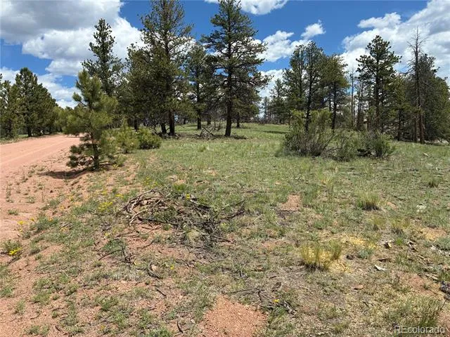 266 Chapparal Trail Florissant, CO 80816