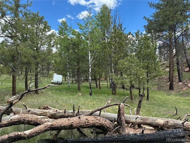 266 Chapparal Trail Florissant, CO 80816