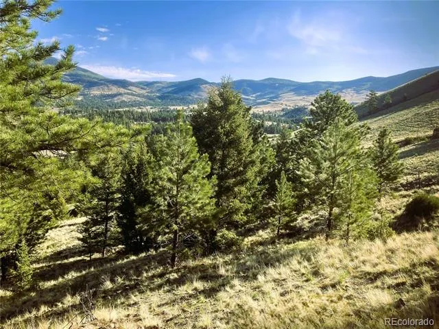 2506 County Road 16 Cotopaxi, CO 81223