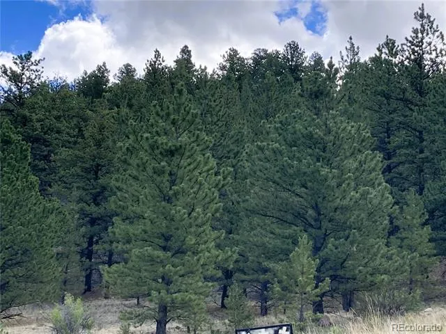 2506 County Road 16 Cotopaxi, CO 81223