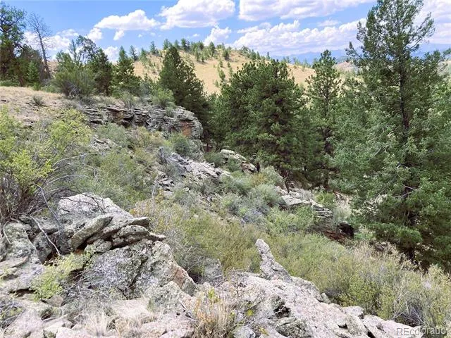 2506 County Road 16 Cotopaxi, CO 81223