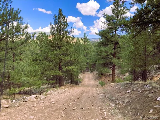 2506 County Road 16 Cotopaxi, CO 81223