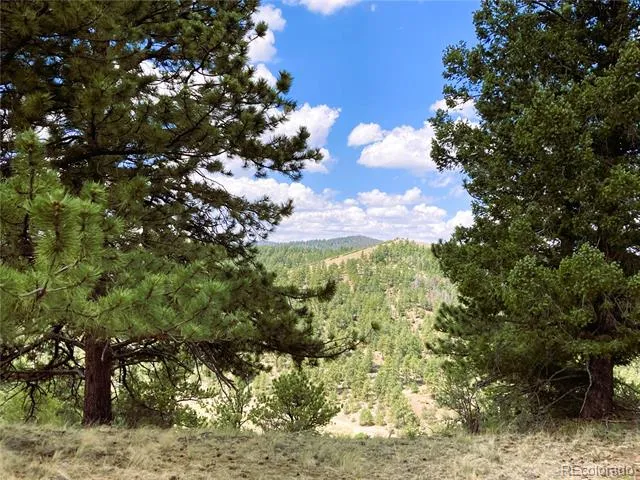 2506 County Road 16 Cotopaxi, CO 81223