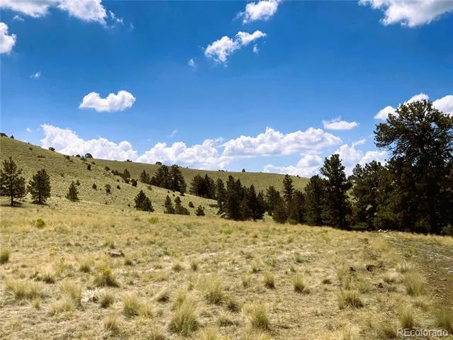 2506 County Road 16 Cotopaxi, CO 81223