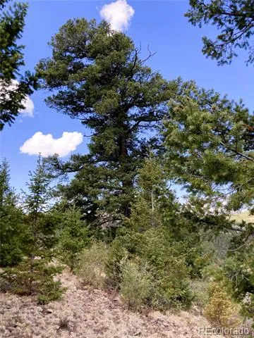 2506 County Road 16 Cotopaxi, CO 81223