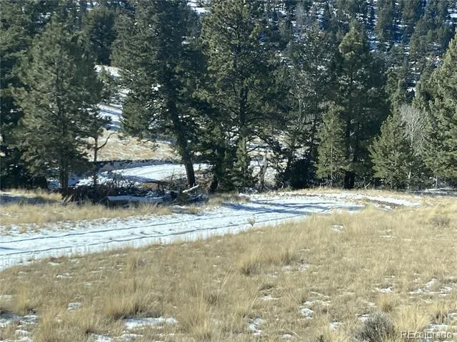 2506 County Road 16 Cotopaxi, CO 81223