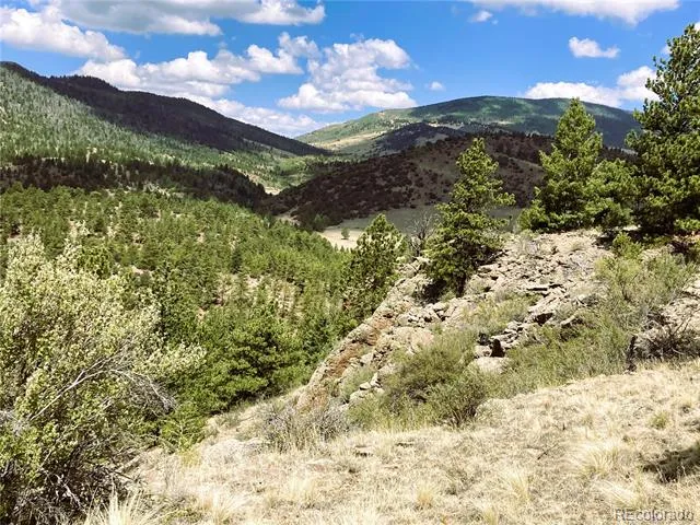 2506 County Road 16 Cotopaxi, CO 81223