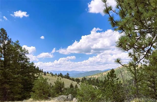 2506 County Road 16 Cotopaxi, CO 81223