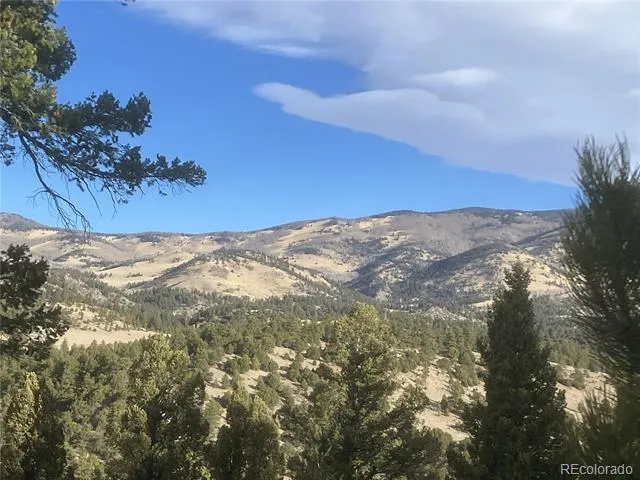 2506 County Road 16 Cotopaxi, CO 81223
