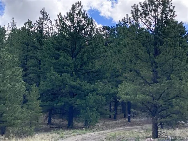 2506 County Road 16 Cotopaxi, CO 81223