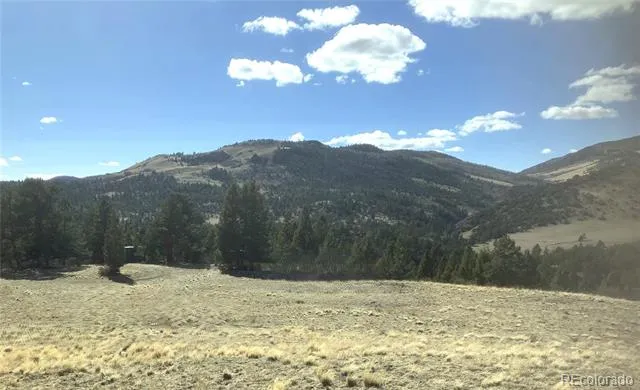 2506 County Road 16 Cotopaxi, CO 81223