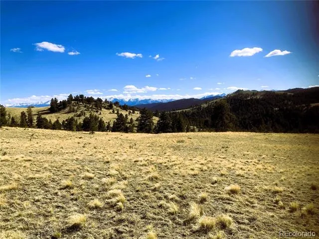 2506 County Road 16 Cotopaxi, CO 81223