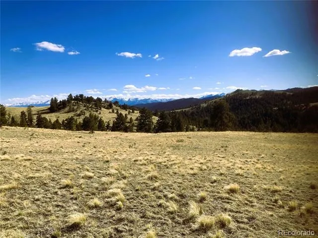 2506 County Road 16 Cotopaxi, CO 81223