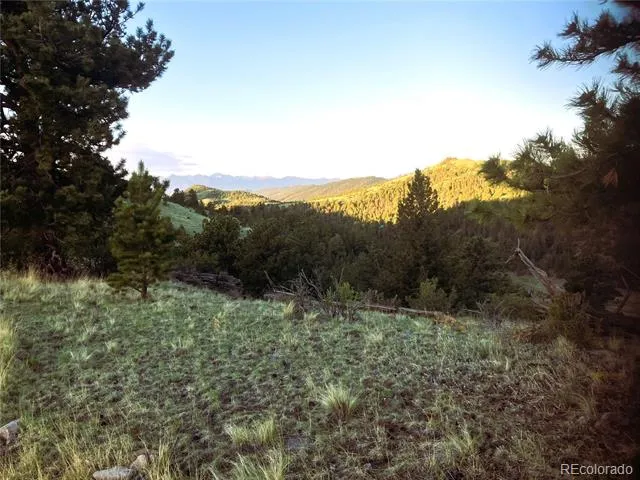 2506 County Road 16 Cotopaxi, CO 81223