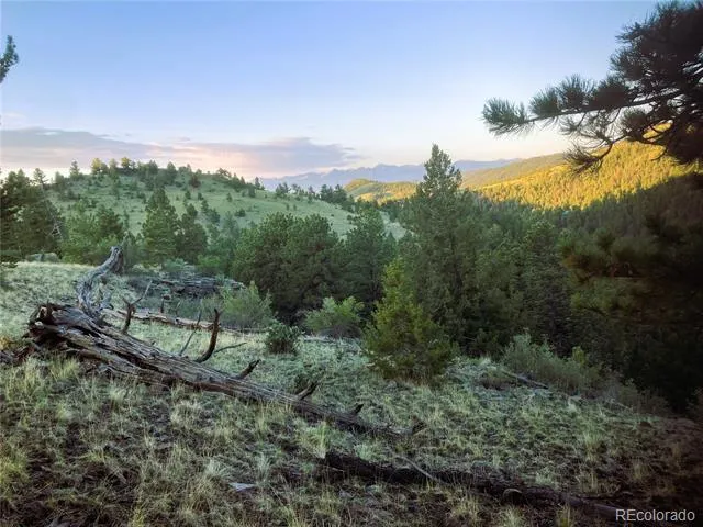 2506 County Road 16 Cotopaxi, CO 81223
