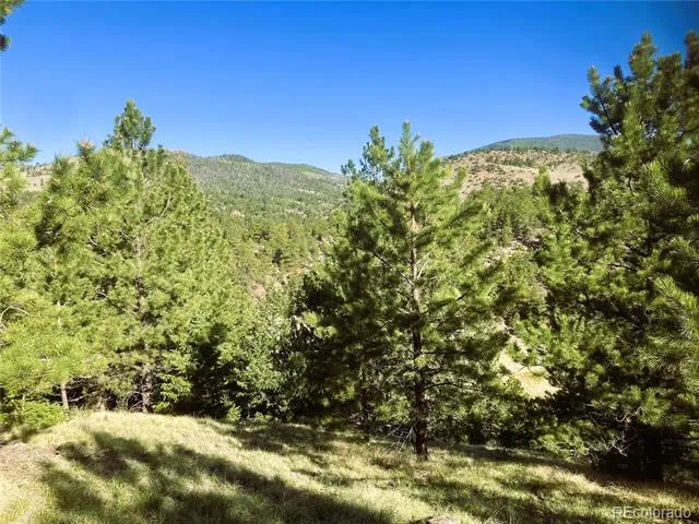 2506 County Road 16 Cotopaxi, CO 81223