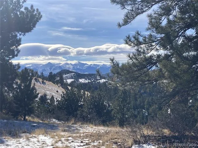 2506 County Road 16 Cotopaxi, CO 81223