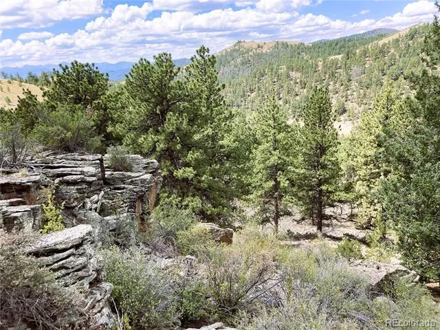 2506 County Road 16 Cotopaxi, CO 81223