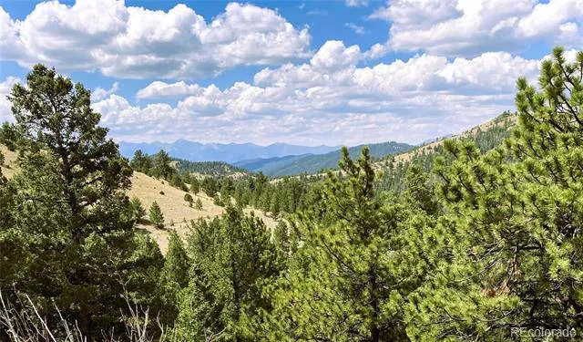 2506 County Road 16 Cotopaxi, CO 81223