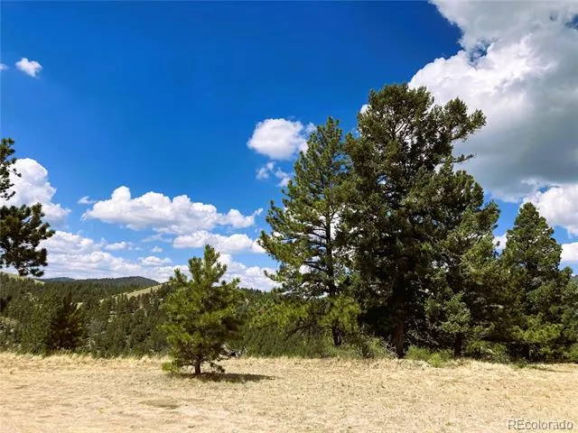 2506 County Road 16 Cotopaxi, CO 81223