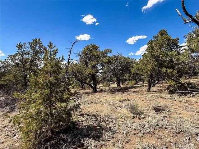 107 Crosstimber Lane Mosca, CO 81146