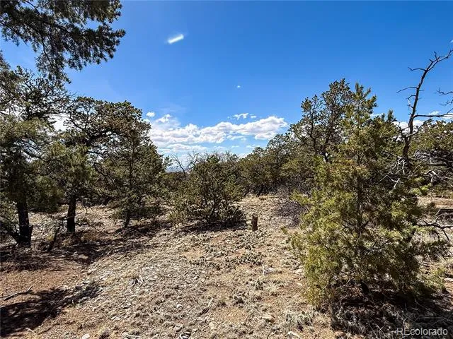 107 Crosstimber Lane Mosca, CO 81146
