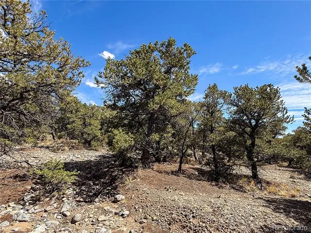 107 Crosstimber Lane Mosca, CO 81146