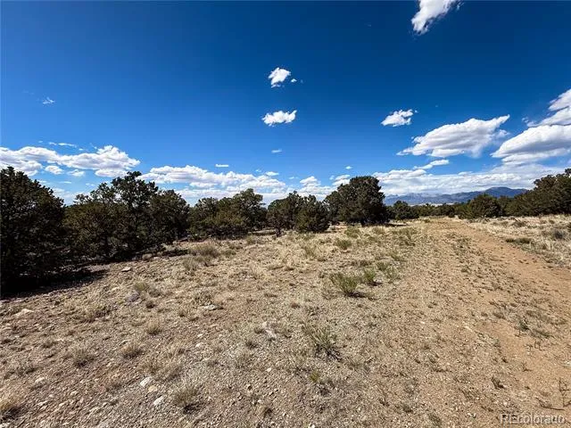 107 Crosstimber Lane Mosca, CO 81146