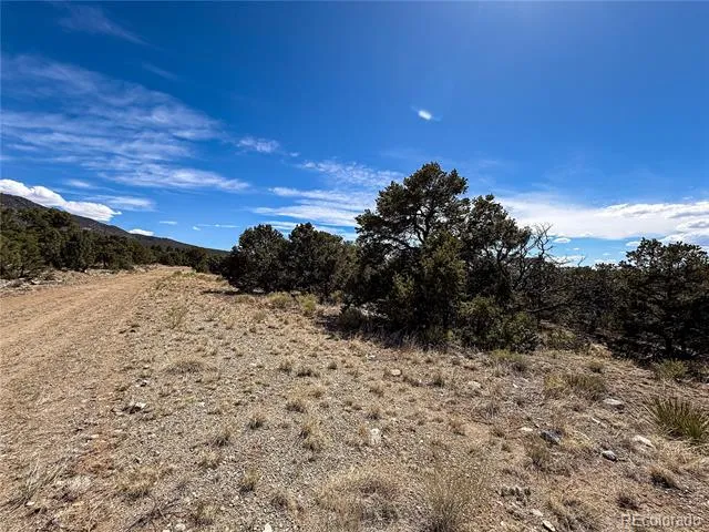 107 Crosstimber Lane Mosca, CO 81146