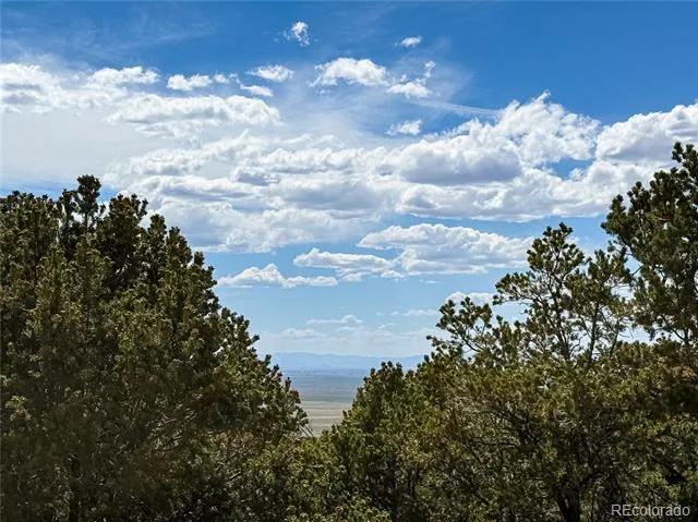 107 Crosstimber Lane Mosca, CO 81146